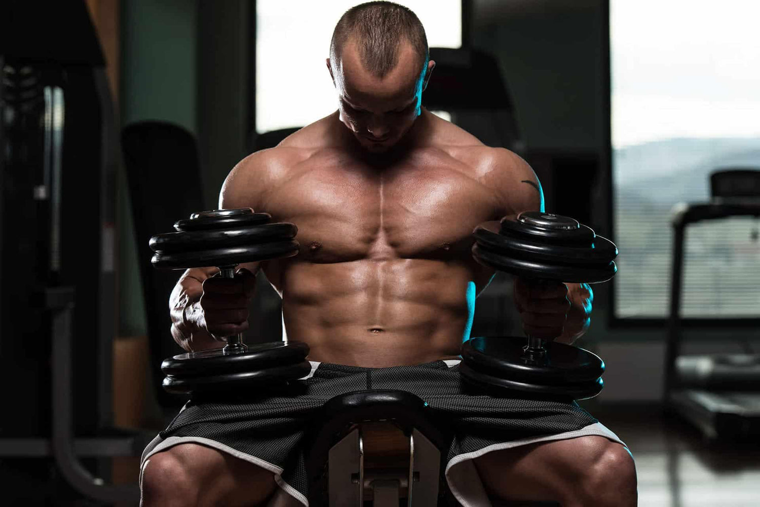 Male bodybuilder sitting on bench holding two dumbbells