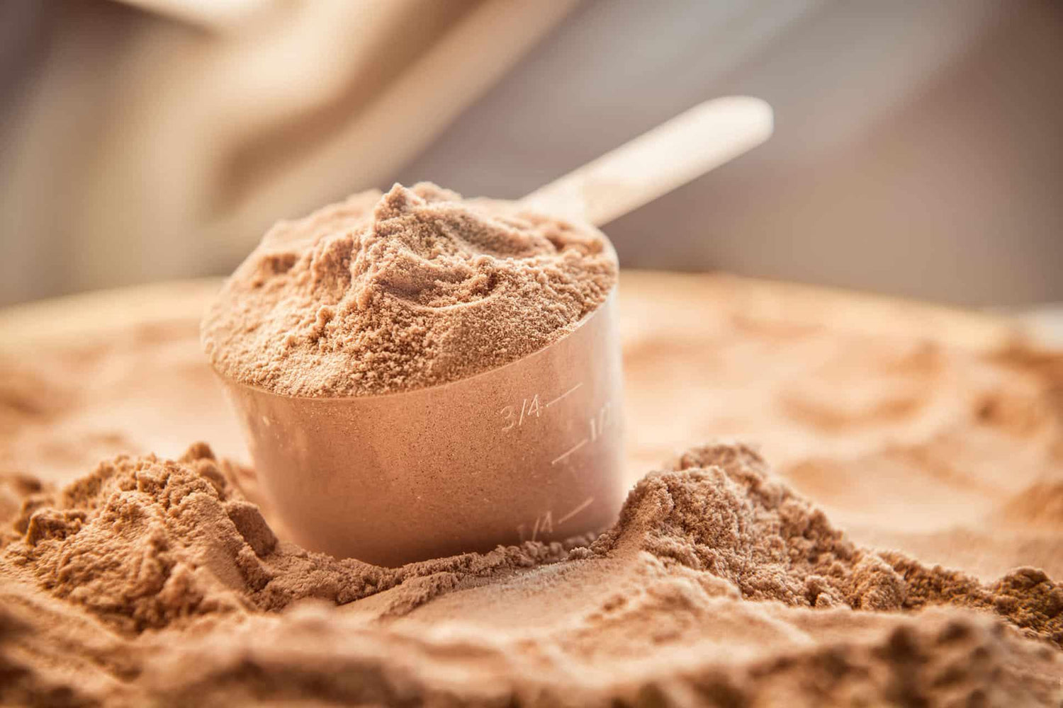 Close-up of a scoop of chocolate whey protein