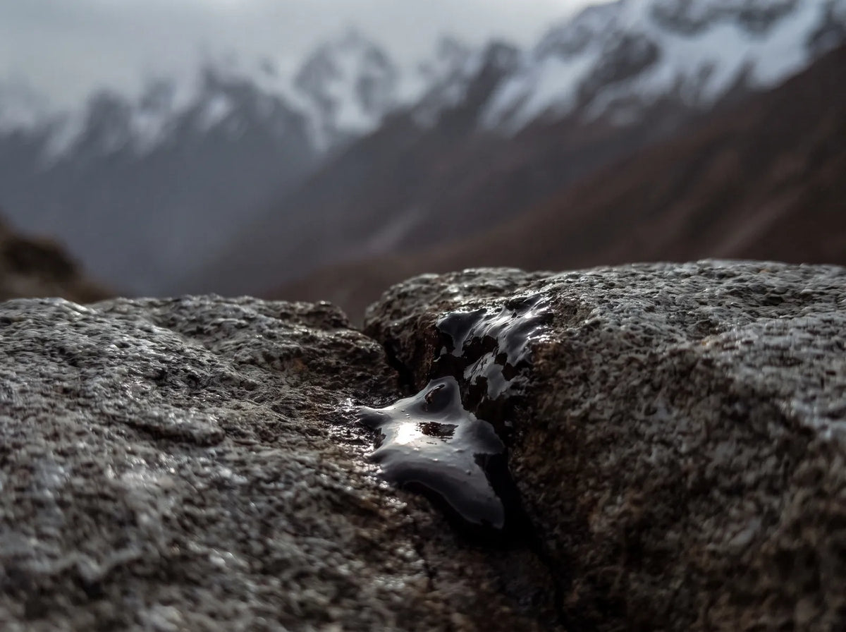 Dark shilajit resin seeping from a crack in Himalayan rock